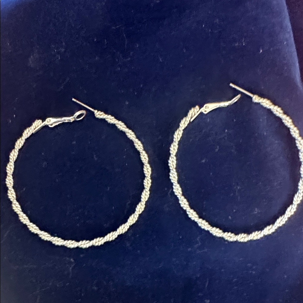 Elegant Silver Hoop Earrings